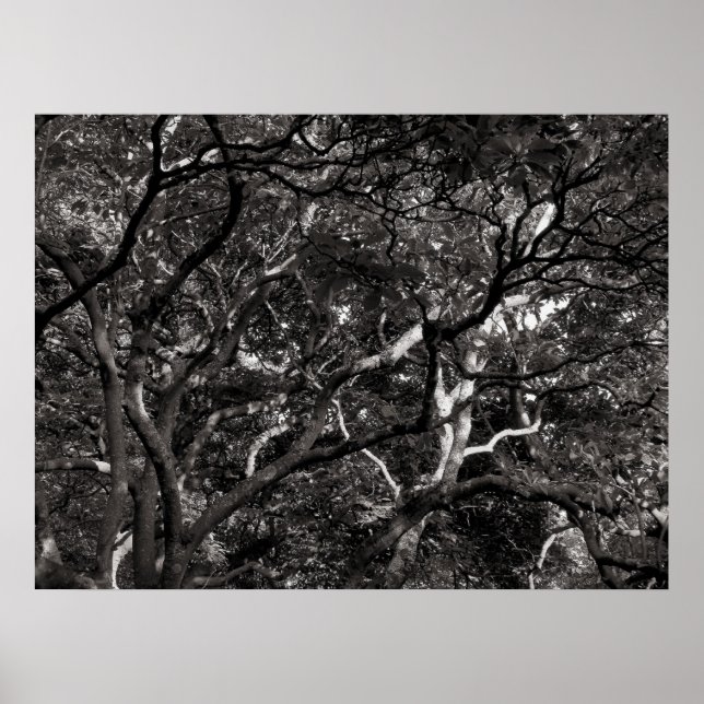 Poster Ramificações Japonesas III (Frente)