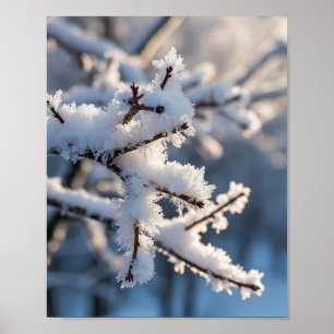 Poster Ramo de Árvore Congelado com Neve de Inverno e Luz