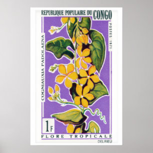 Poster Ramo de Flor Amarela - Arte Vintage do Congo - Pos