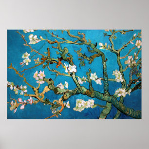 Poster Ramos da amêndoa no detalhe da flor, Van Gogh