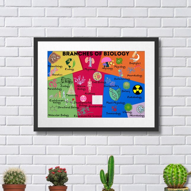 Poster Ramos de biologia (Criador carregado)