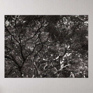 Poster Ramos japoneses