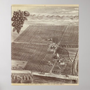 Poster Rancho da fruta de Chapin