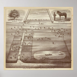 Pôster Rancho de Oakdale