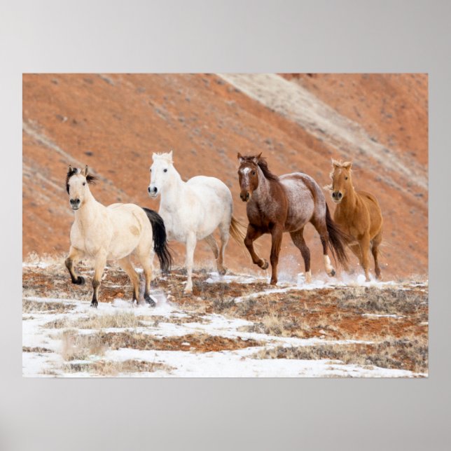 Poster Rancho Hideout com Pequeno Rebanho de Cavalos na N (Frente)