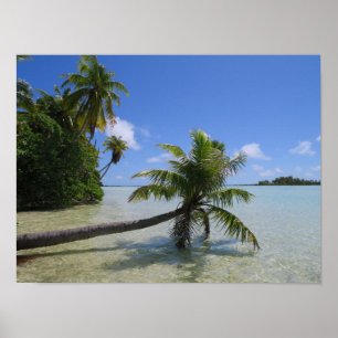 Poster Rangiroa Palm Tree