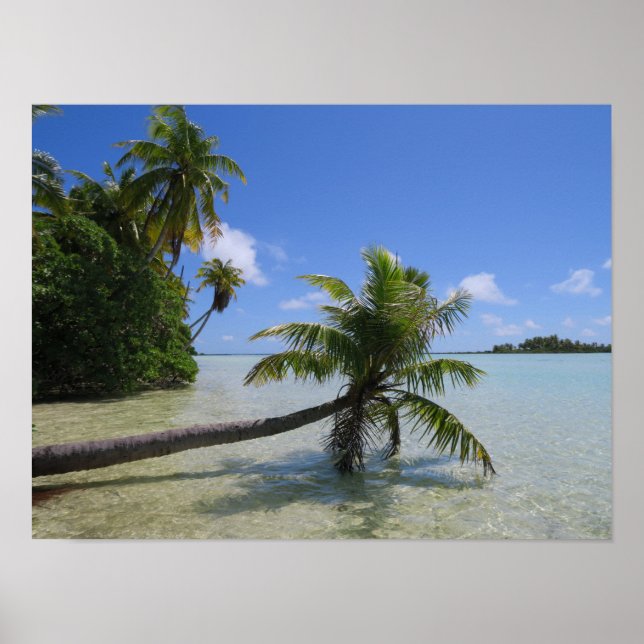 Poster Rangiroa Palm Tree (Frente)