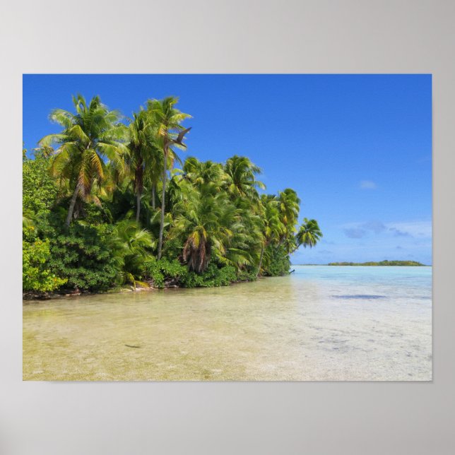 Poster Rangiroa Palm Trees (Frente)