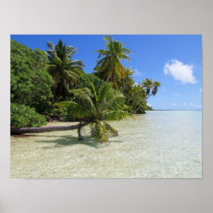 Poster Rangiroa Palm Trees