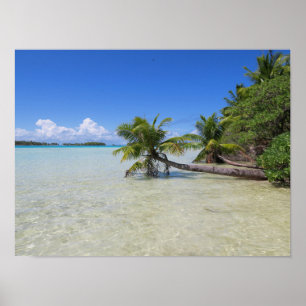 Poster Rangiroa Polinésia Francesa