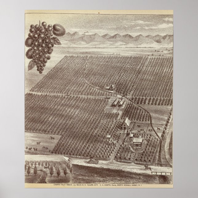 Poster Ranhura da Fruta da Capela (Frente)