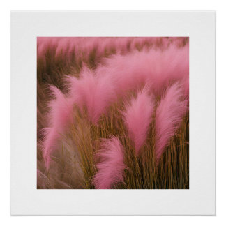 Pôster Raparigas Poster de fotografia estética, Pam-Rosa