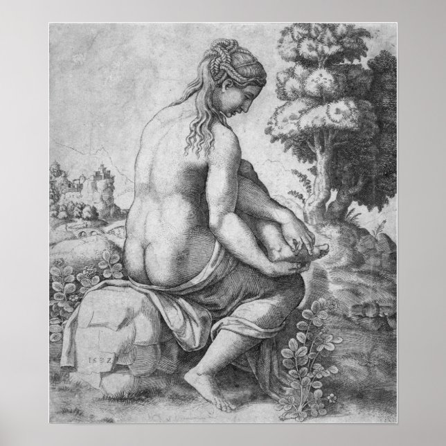 Poster Raphael - Vênus Removendo Um Espinho De Seu Pé (Frente)