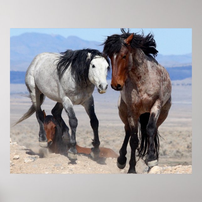 Pôster Rápido e Furioso (Frente)