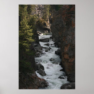 Pôster Rapids dentro BC