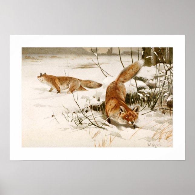 Pôster Raposa (Frente)