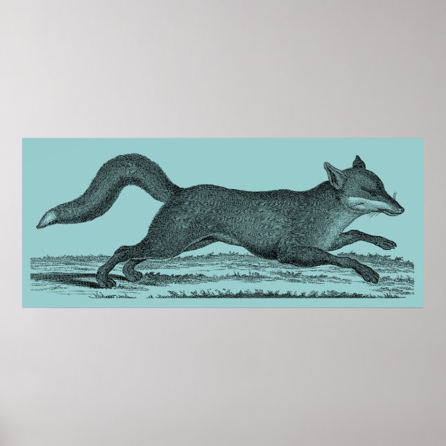 Pôster Raposa (Frente)