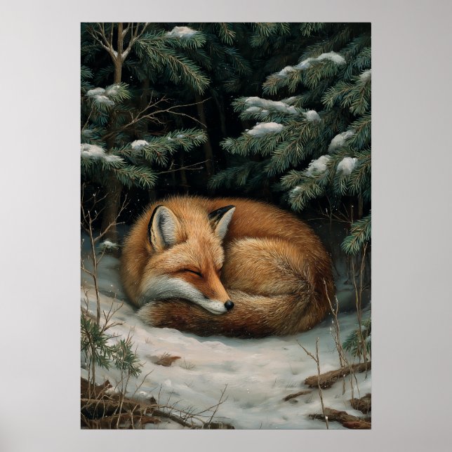 Poster Raposa Adormecida na Floresta de Inverno (Frente)