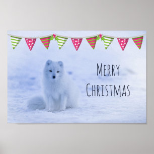 Poster Raposa Árctica Cute em Inverno de Neve