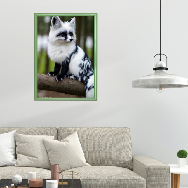 Poster Raposar Marmorizada Canadense (Criador carregado)