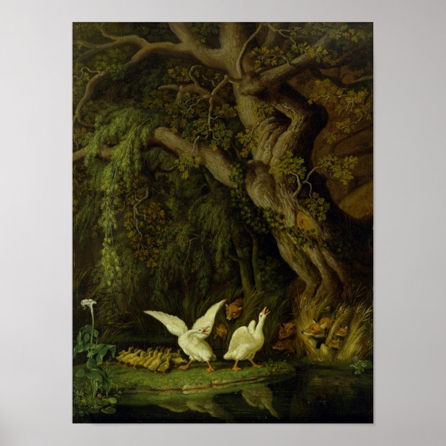 Poster Raposas e gansos (Frente)