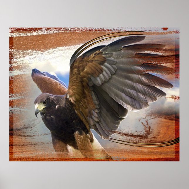 Pôster Raptor (Frente)