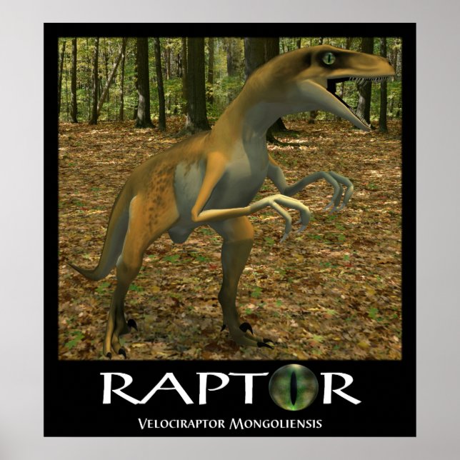 Pôster Raptor (Frente)