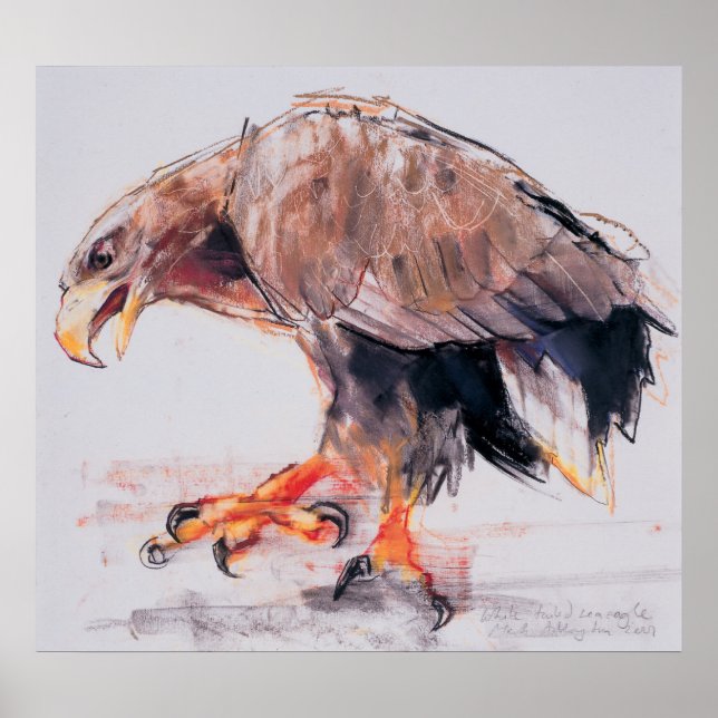 Pôster Raptor 2001 (Frente)