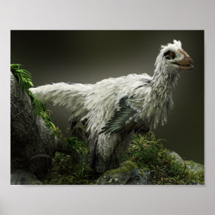 Poster Raptor com penas