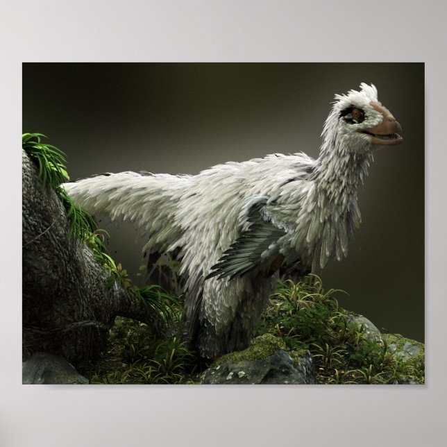 Poster Raptor de penas (Frente)