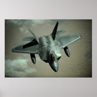 Pôster Raptor F-22