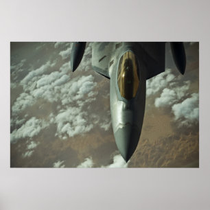 Pôster Raptor F-22