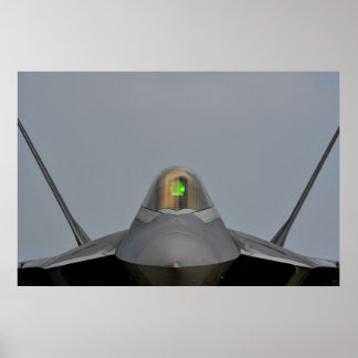 Pôster Raptor F-22