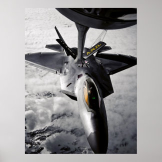 Pôster Raptor F-22
