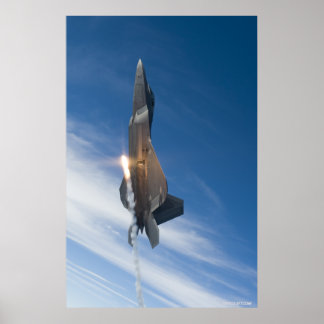 Pôster Raptor F-22