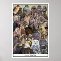 Raptores do Ocidente