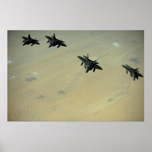 Pôster Raptores F-22