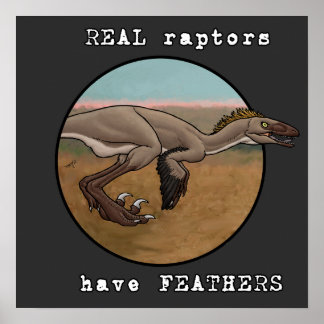 Poster Raptores reais