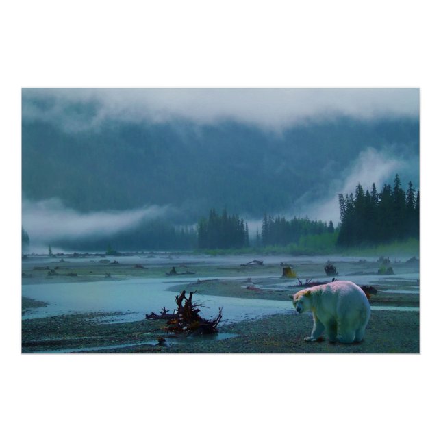 Pôster Rare Kermode Bear (Spirit Bear) e Misty River (Frente)