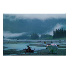 Pôster Rare Kermode Bear (Spirit Bear) e Misty River