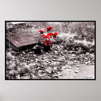 Pôster Rascunho Vermelho