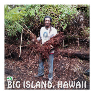 PÔSTER RASTA FARMER COM HAPUU FERN