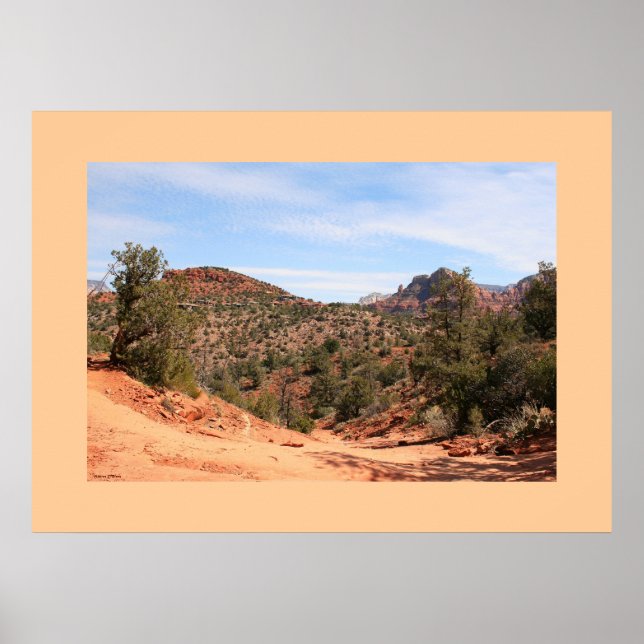 Pôster Rastreio de Lava-Chuva (Frente)