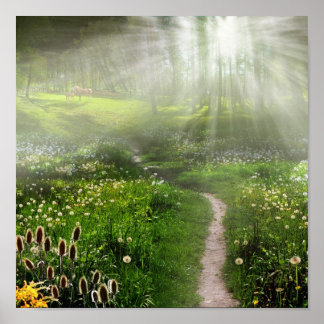 Pôster Rastreio de Prados