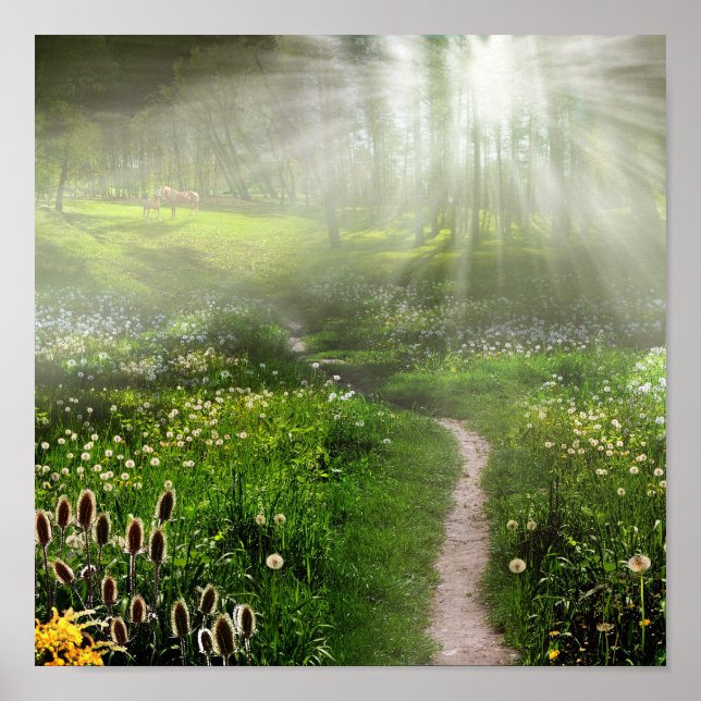 Pôster Rastreio de Prados (Frente)