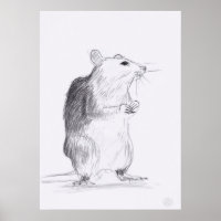 Poster Rat de desenho original 24x36