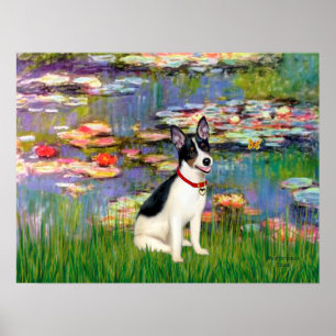 Poster Rat Terrier - Lírios 2
