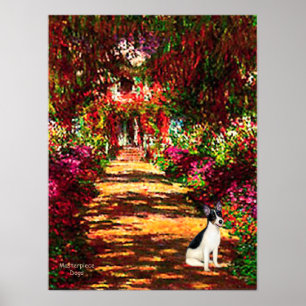 Poster Rat Terrier - O caminho