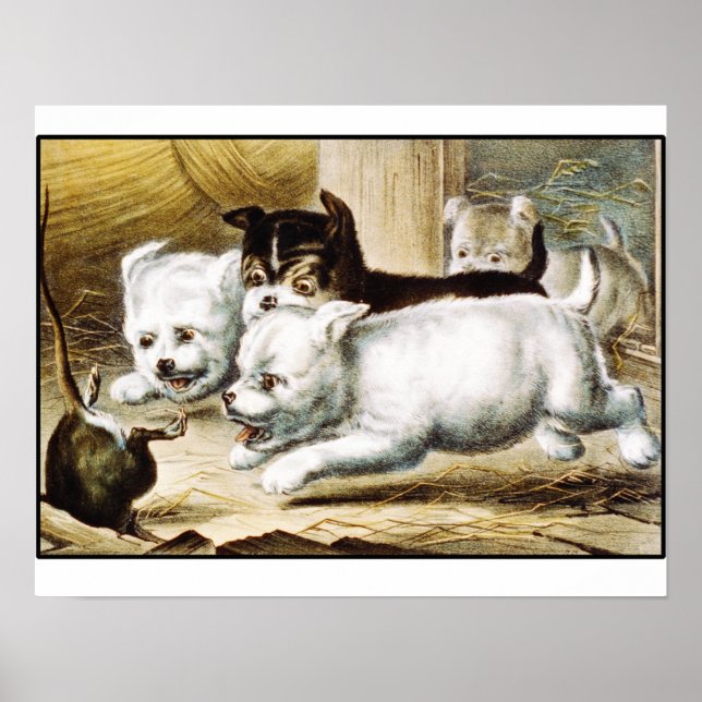 Poster Rat Terrier Puppies - Vintage Fine Art (Frente)
