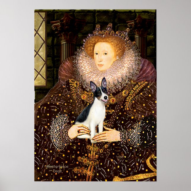 Pôster Rat Terrier - Rainha (Frente)